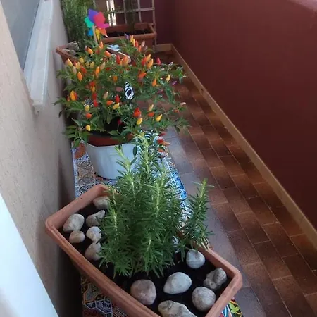 Holiday Apartment Trapani